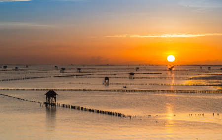 Sun and sea