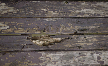 Old Wood backgroundの写真素材