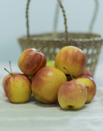 Applesの写真素材