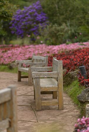 Wooden bench in gardenの写真素材
