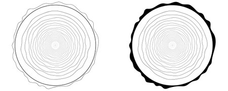 outline tree ringsのイラスト素材
