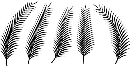 silhouette palm leaf icon setのイラスト素材
