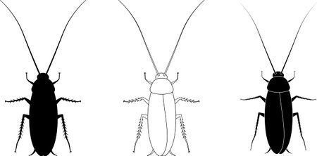 outline silhouette Cockroach icon set