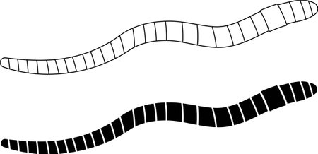 outline silhouette worm icon setのイラスト素材