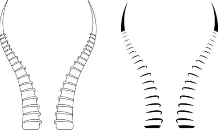 antelope horn icon setのイラスト素材