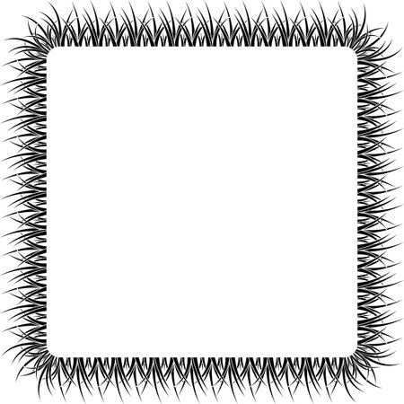square black grass frame with copy space for text or designのイラスト素材