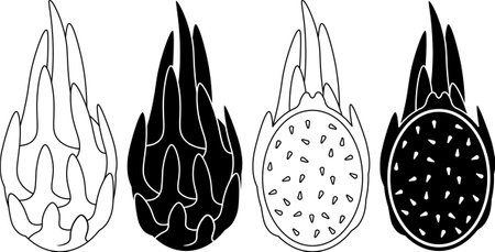 outline silhouette dragon fruit or pitaya icon setのイラスト素材
