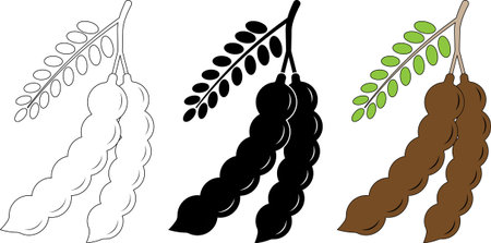 Vector icon set of tamarind pods in outline silhouette and colorのイラスト素材
