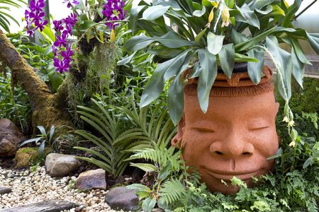 Orchid small garden with clay pot  gravel step stoneの写真素材