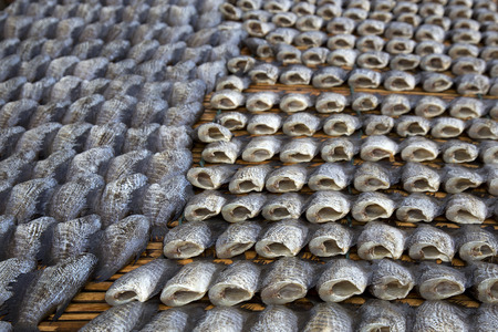 Shallow of depth to Snake Skin Gourami Fish,Pla Salit Trichogaster pectoralis desiccated.の写真素材