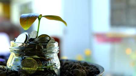 plant and coins  grow from the soil ; Saving money, Investment And Interest Conceptの写真素材