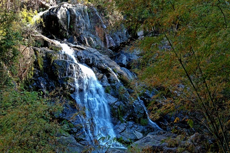The waterfall in bamboo forest at Mae Wa Nation Park of county, Thailand.