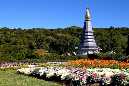Pagoda middle flower and blue sky on Doi Inthanon at county Chiang Mai, of Thailand の写真素材