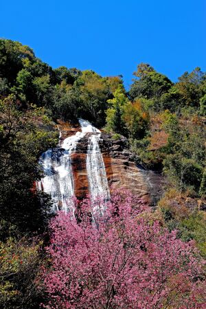 The waterfall with blue sky and pink of flower in forest  the National park, Thailand の写真素材