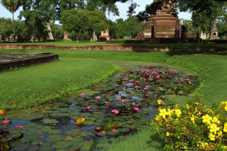 Red lotus and architecture at Wat Sha Na Song Kram in Sukhothai Historical park, Thailand の写真素材