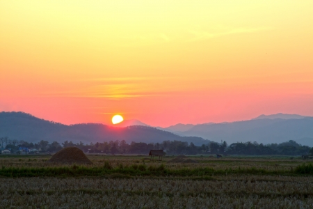Sunset at cornfield on mountain in village of Nan Thailand の写真素材