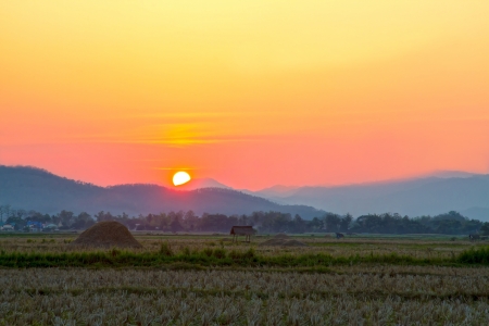 The sunset at hill  among  cornfield  of farmer in village of Nan Thailand の写真素材