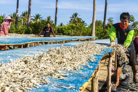 	Young male with dry small fish at  beach Ban Glood at sea of country, Thailand
	
のeditorial素材
