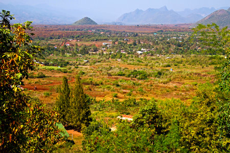Filed and home with brown tree in village, country of Maynmarの写真素材
