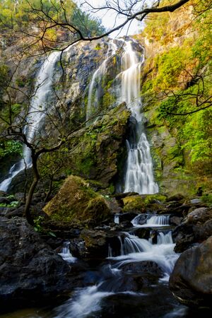 Stream waterfall and dry tree at Kampheang Phet, National park of Thailandの写真素材