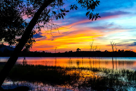 Sunset and shadow tree on lagoon at Mukdahan national park county of,Thailandの写真素材