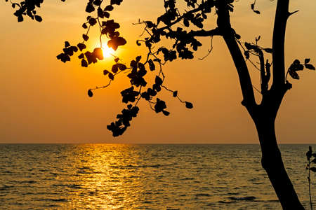 The evening at Koh Chang Thailand.
Koh Chang is located in the eastern Gulf of Thailand. It is an island with beautiful nature. Famous for tourismの写真素材