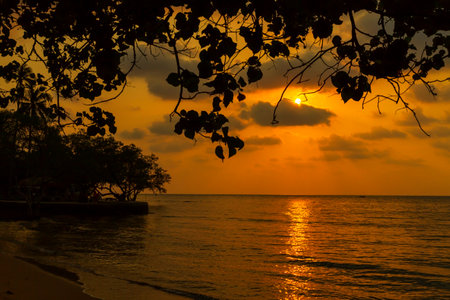 Sunset with black shadow of tree in Bailan beach at Koh Chang Thailand.の写真素材