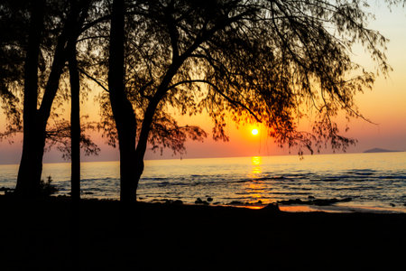 Sunrise and silhouette pine at beach Hat Wanakon National Park, Prachuap Khiri Khan Province in Thailand is famous for travel and relaxの写真素材