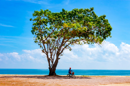 Beach and nature of Ban Krut Beach in Prachuap Khiri Khan Province Thailand, is famous for travel and relax.の写真素材