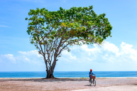 Beach and nature of Ban Krut Beach in Prachuap Khiri Khan Province Thailand, is famous for travel and relax.の写真素材