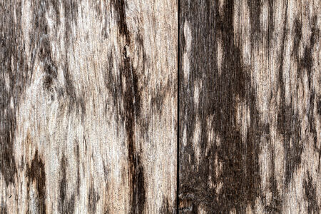 old wooden panels の写真素材