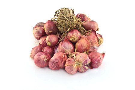 Shallot onions on white の写真素材