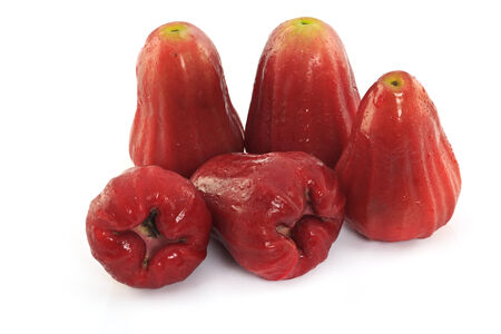 Rose apples isolated on white の写真素材