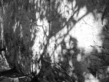Light and shadow of placeの写真素材