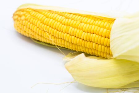 Yellow corn raw isolated on white background, front view from the top, technical cost-up.の写真素材
