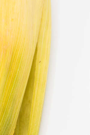 Yellow corn raw isolated on white background, front view from the top, technical cost-up.の写真素材