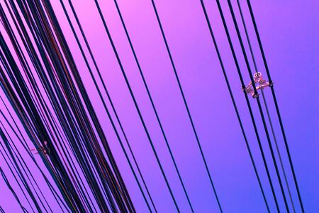 Vintage wire pastel color creative texture and pattern for design and decoration isolate on background close upの写真素材
