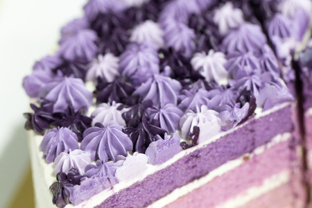 Blueberry cake on white background.Copy space.の写真素材