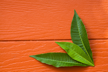 Autumn leaves over wooden background with copy spaceの写真素材