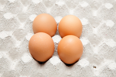 Four Eggs Chicken on panel