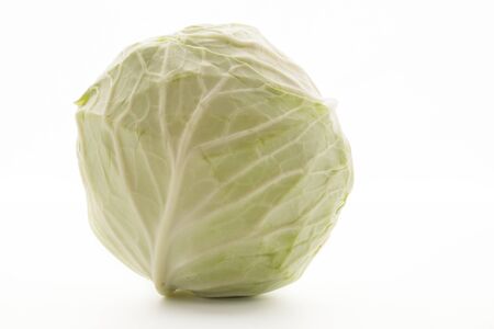 cabbage isolated on white backgroundの写真素材