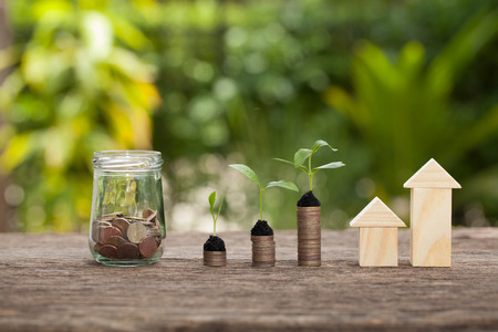 Money and plant, Saving money concept, concept of financial savings to buy a house,trees growing in a sequence of germination on piles of coins, Growth, business, money.の写真素材