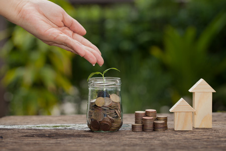 Money and plant with hand watering a tree, Saving money concept, concept of financial savings to buy...