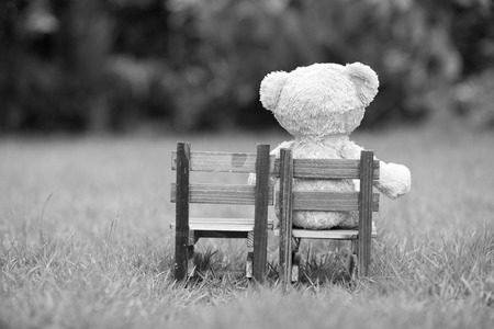 Close up lovely teddy bear sit on wooden chair, Concept about loneliness or waiting for someone, Natural background,  black and whiteの写真素材