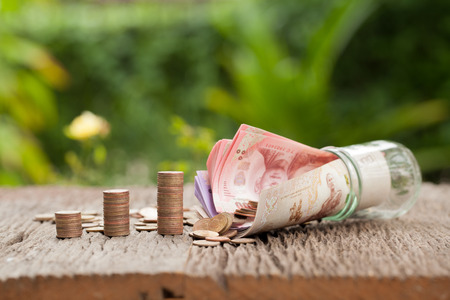 coin and money jar with  cash, Saving money concept, financial savings to buy a house,trees growing...