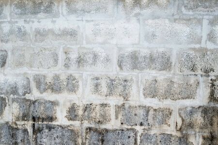 Gray concrete wall. Cement wallの写真素材