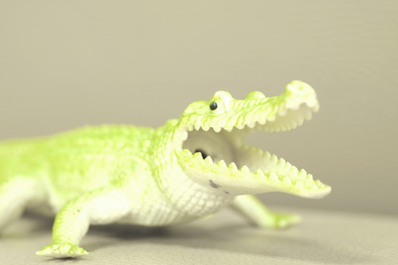 Crocodile model on white background.の写真素材