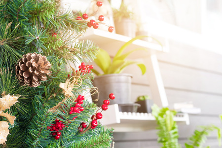 Christmas trees Decoration in coffee shop.の写真素材