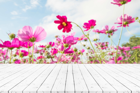 Perspective white wooden table on top over blur natural background, can be used mock up for montage products display or design layout.の写真素材