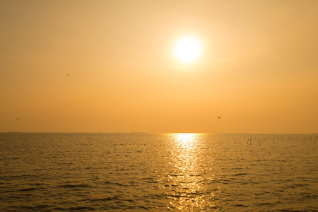 sea sunsetの写真素材